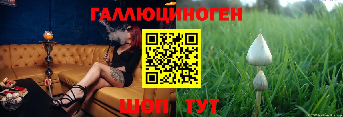 Псилоцибиновые грибы прущие грибы  Вход с VPN  Ноябрьск 